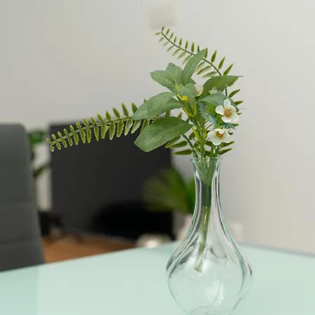 1 Bedroom Flat In Aglatzia Daire *